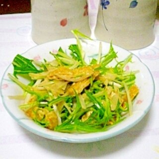 混ぜるだけ！水菜と玉ねぎの和風サラダ